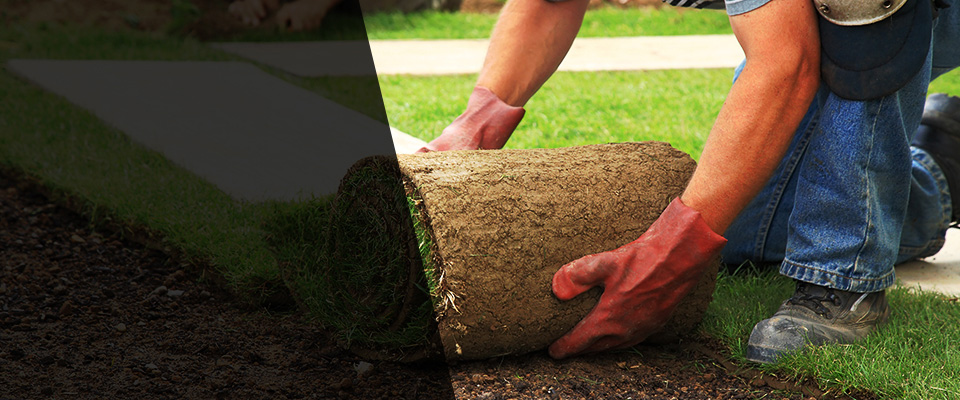 Pinedale Landscapers